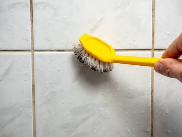 Best Mold Remediation  in Tucson Estates, AZ