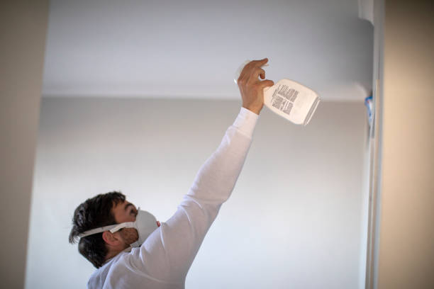Mold Removal Process in Tucson Estates, AZ