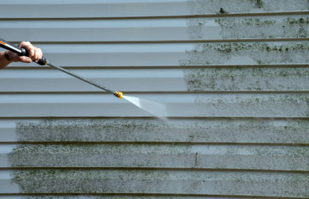 Certified Mold Removal in Tucson Estates, AZ